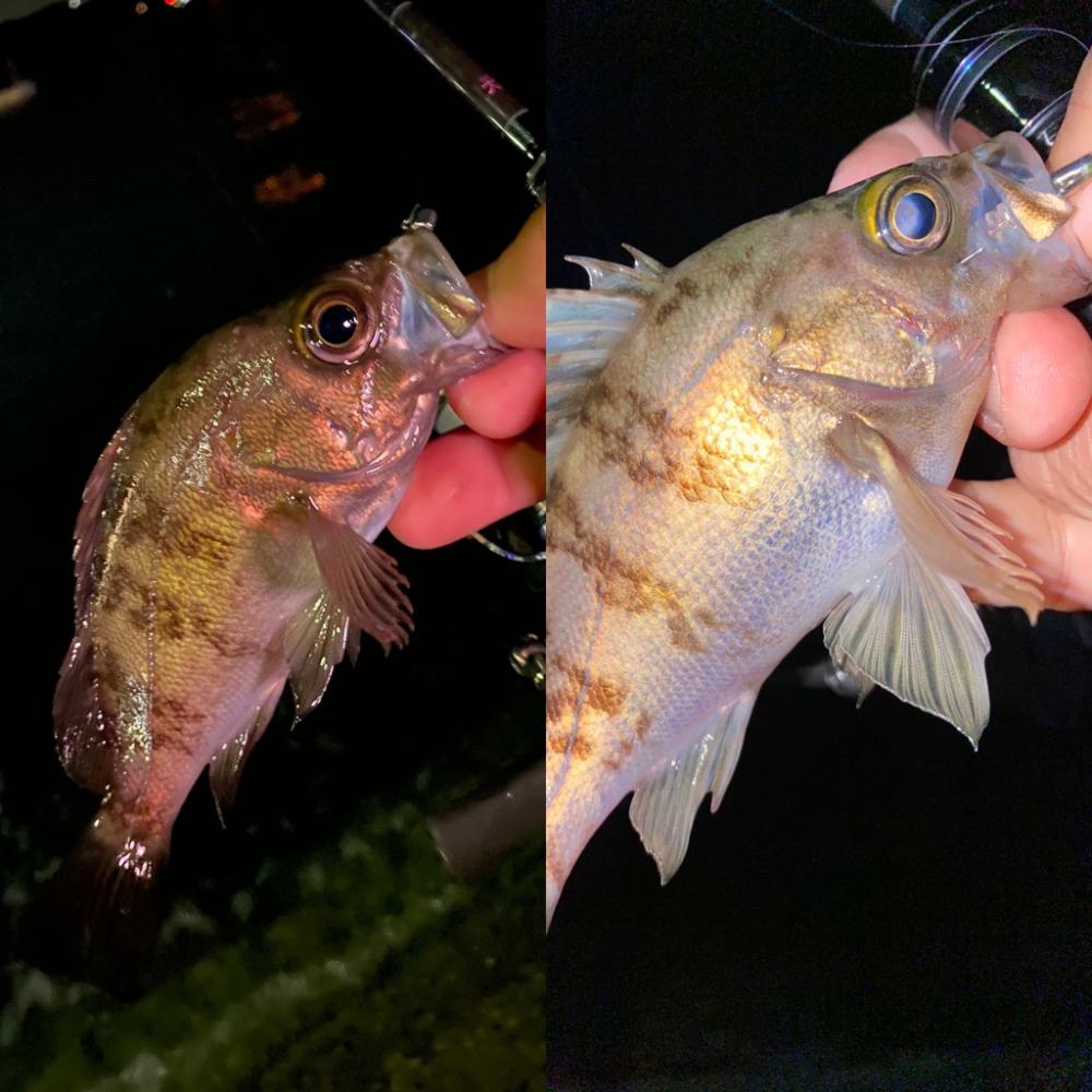 沈下速度は、重要!