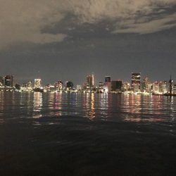 食わないバチボイル