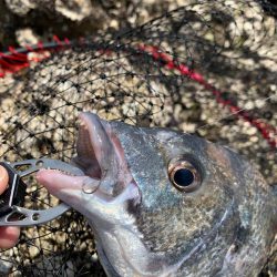 上潮ダダ滑りを攻略‼︎