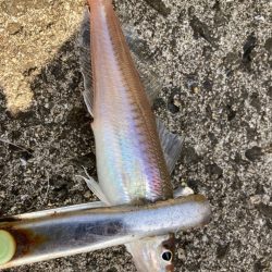 ファーストキス