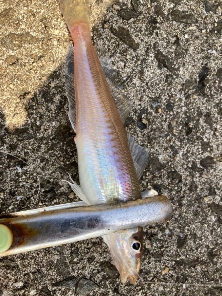 ファーストキス