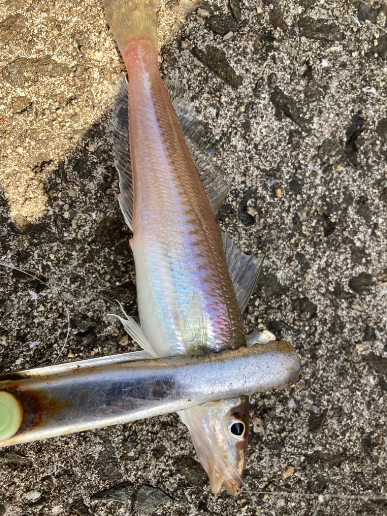 ファーストキス