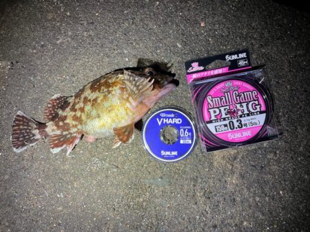 ファーストインプレッション