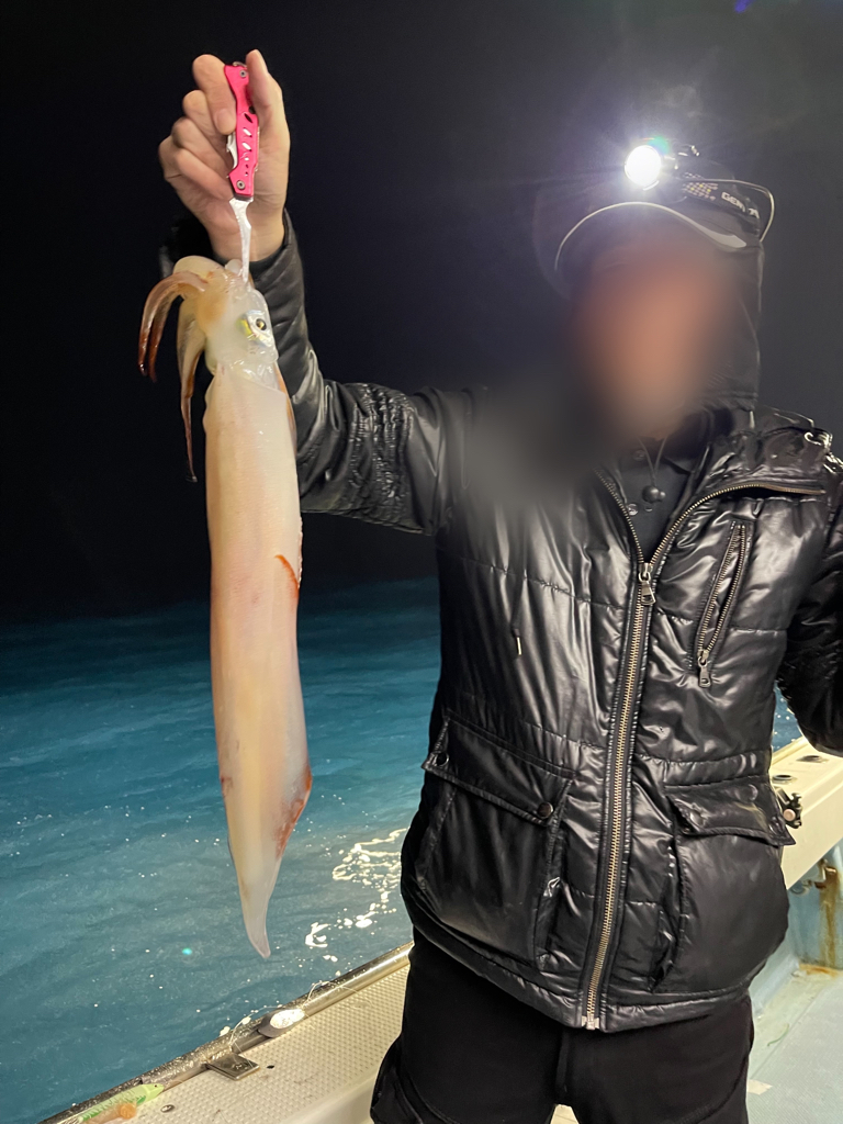 春イカ釣行で、40cmクラスのヤリイカ