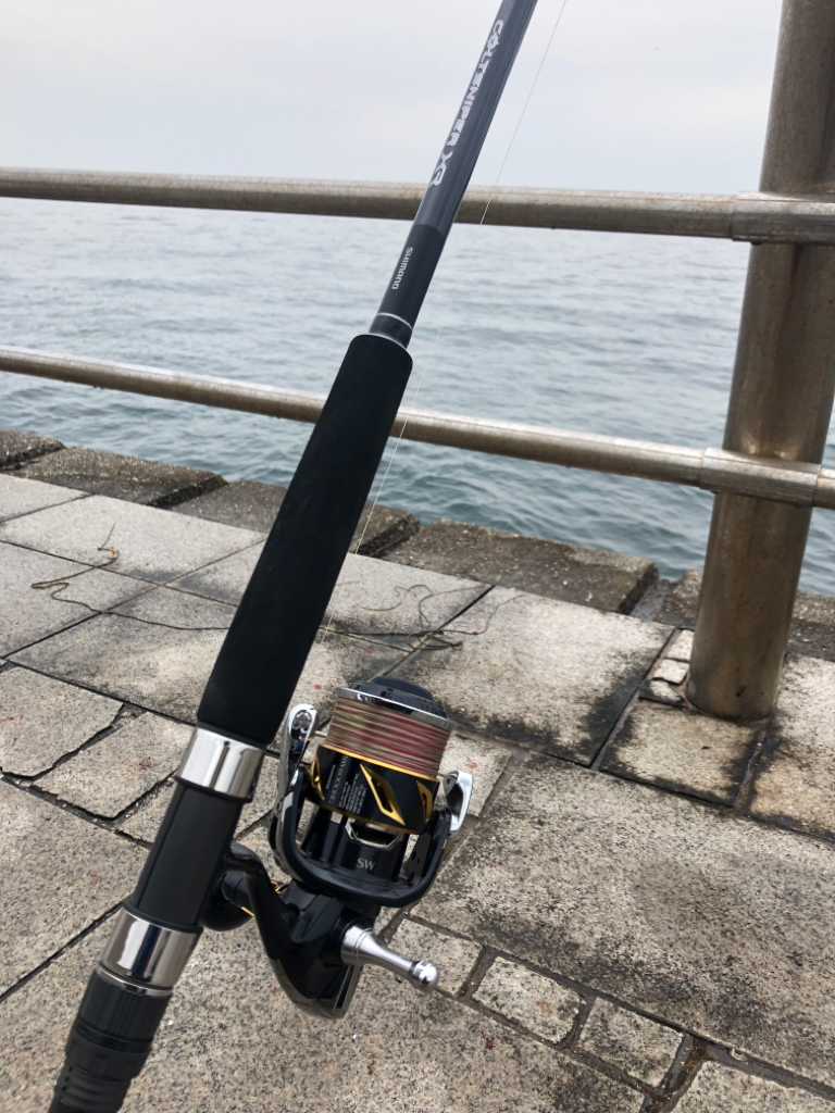 今年初の翼港にて…