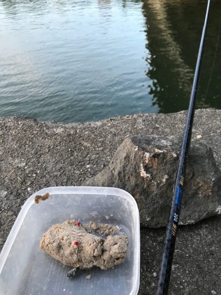 淀川水域での稚鮎サビキ