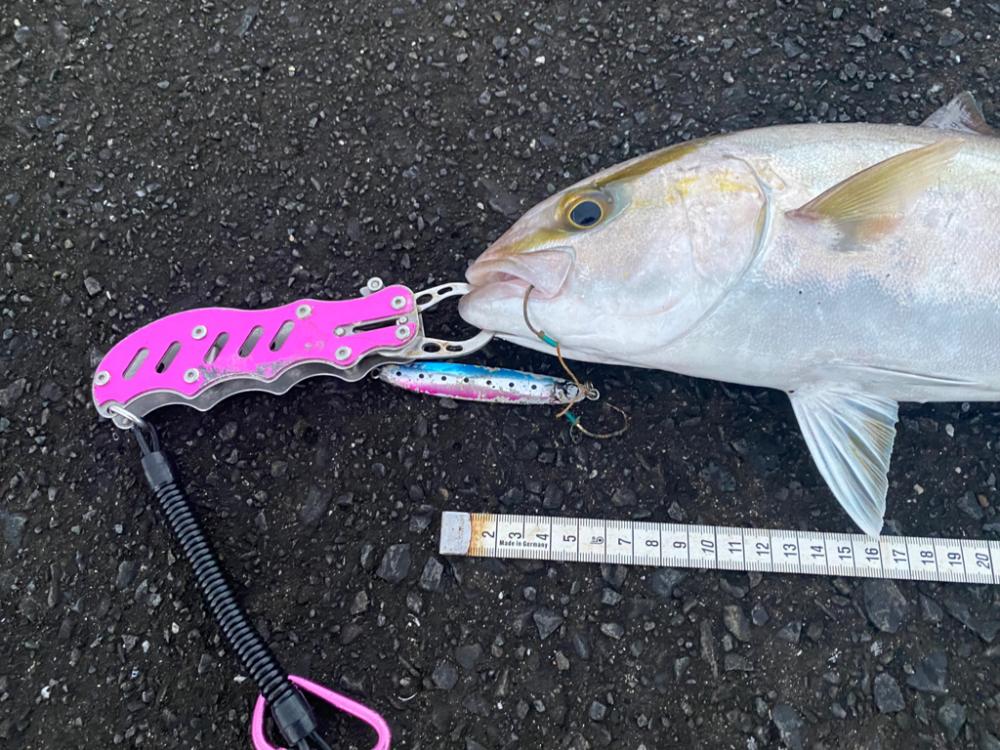 スナップを破壊する強烈な引きの正体は？