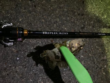 トリプルクロスで春メバリング