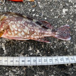 ジャックアイマキマキでボトムを『攻める』