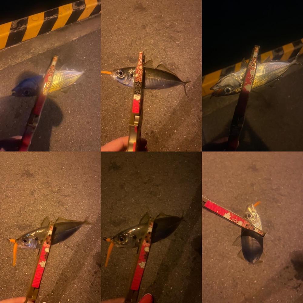 大分県別府遠征