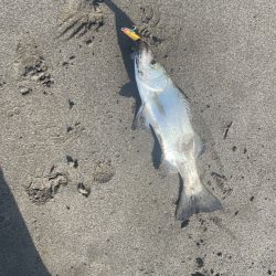 初の宮崎は大負け