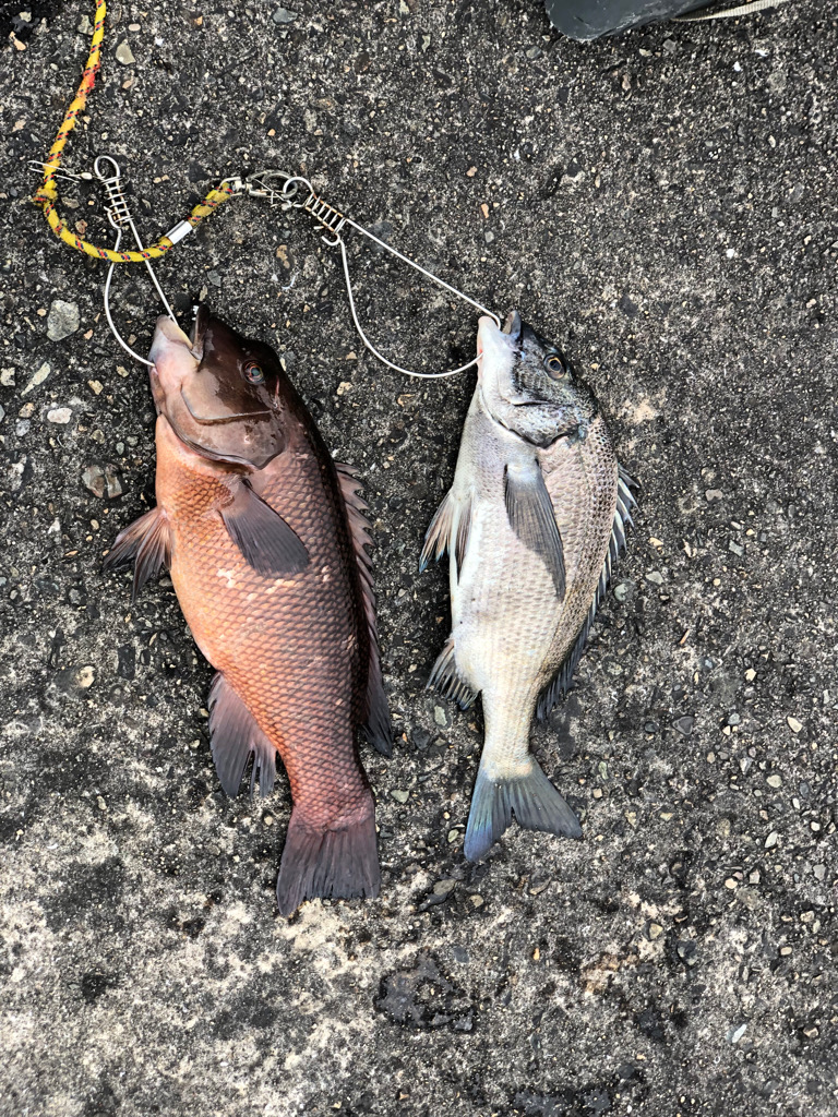 須磨ヨットハーバー冲一文字