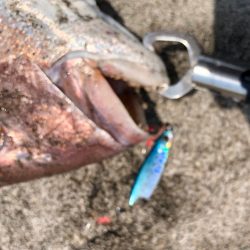 JPスローの当たり日