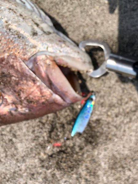 JPスローの当たり日