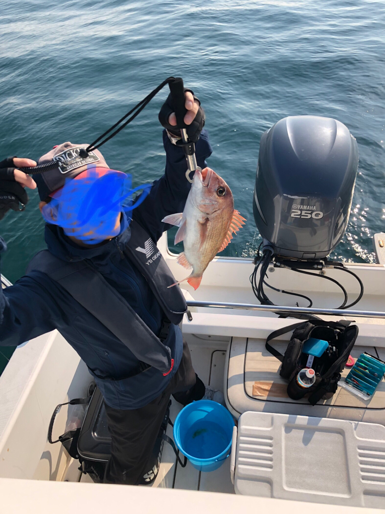 アコウとサバフグ