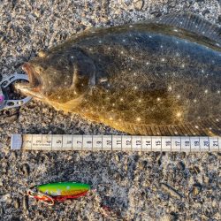 今度はヒラメ!ジャックアイグロッキーが止まらない!