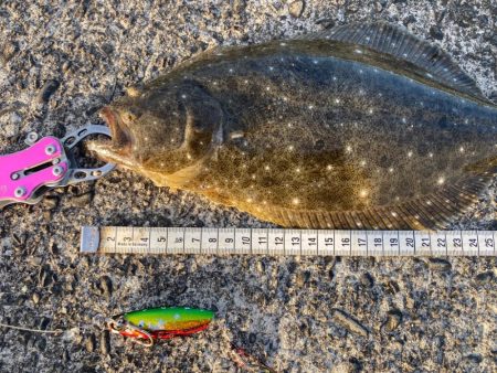 今度はヒラメ!ジャックアイグロッキーが止まらない!