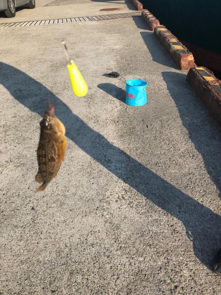 行き着いた先でアブシン