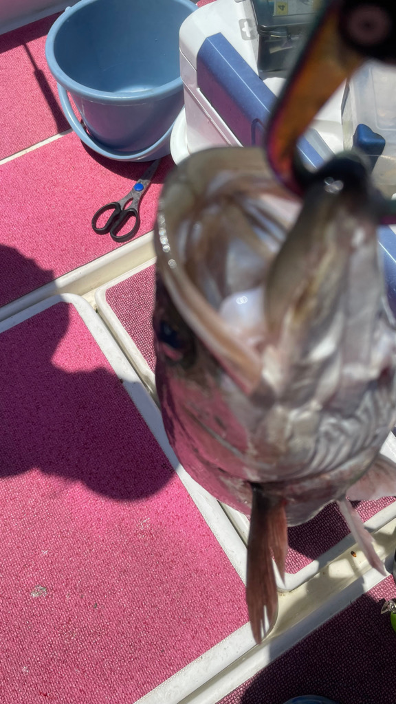 おニューロッドの鱗付け完了w