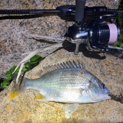 淀川ブリームゲーム