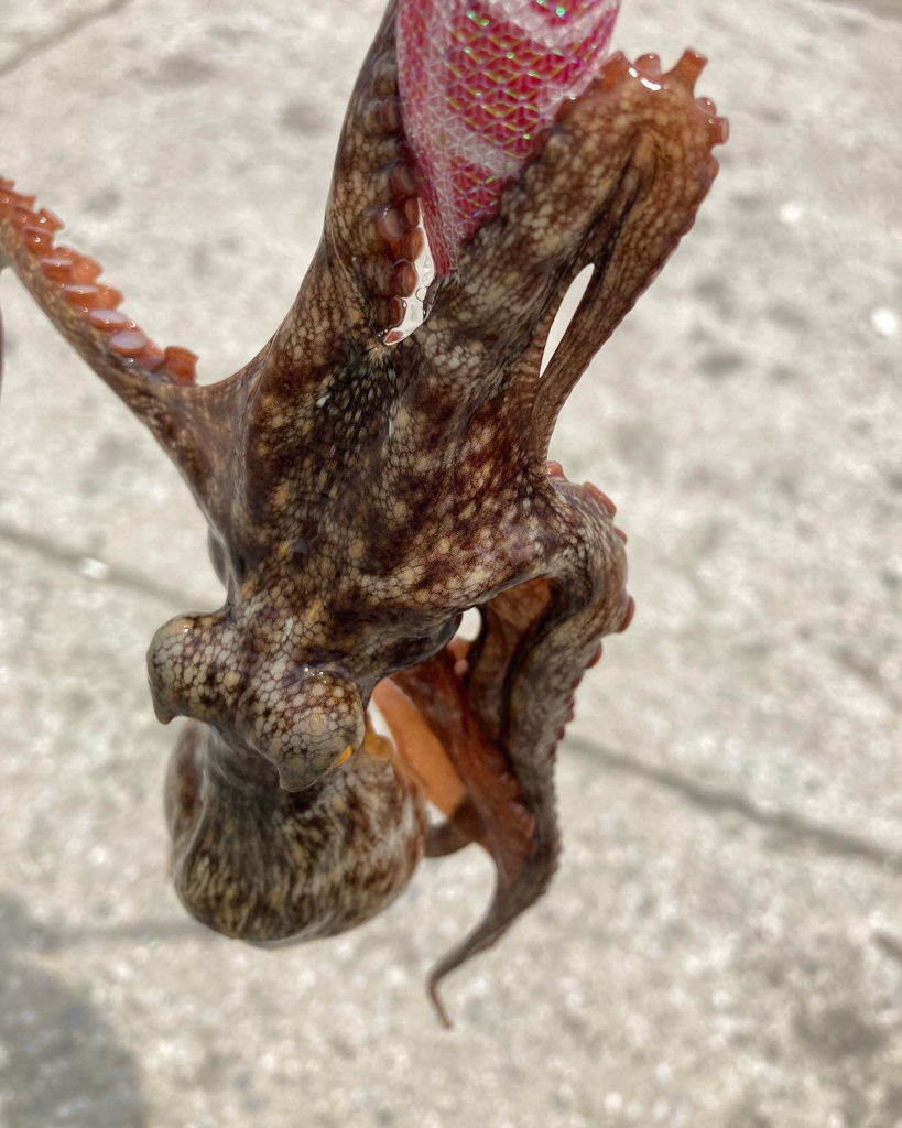 ⭐︎釣り人の醍醐味