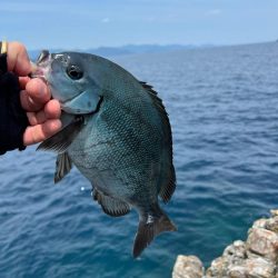 フカセ釣り釣行