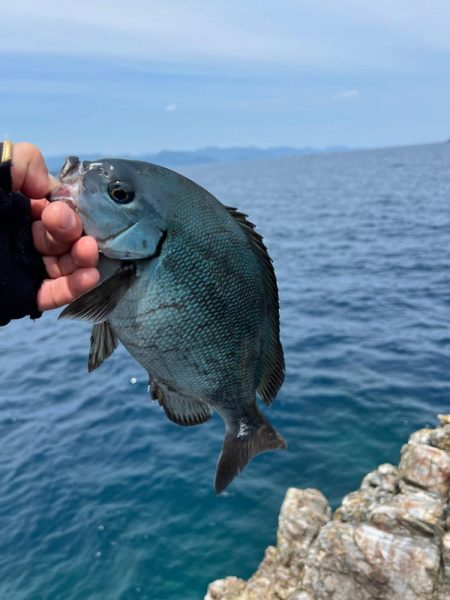 フカセ釣り釣行