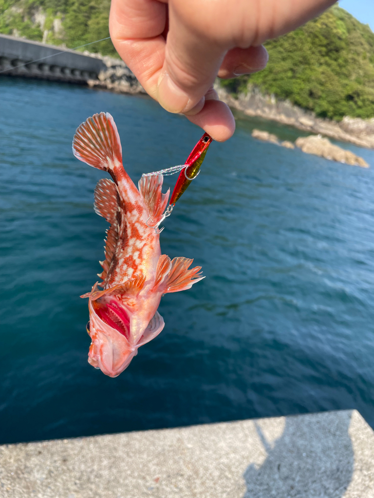 スーパーライトショアジギング