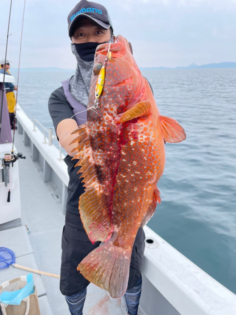 錦江湾•桜島周辺でのブレードジギング