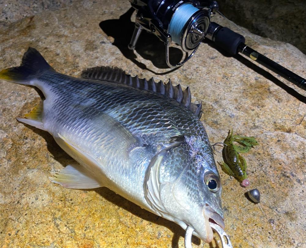 淀川ブリームゲーム