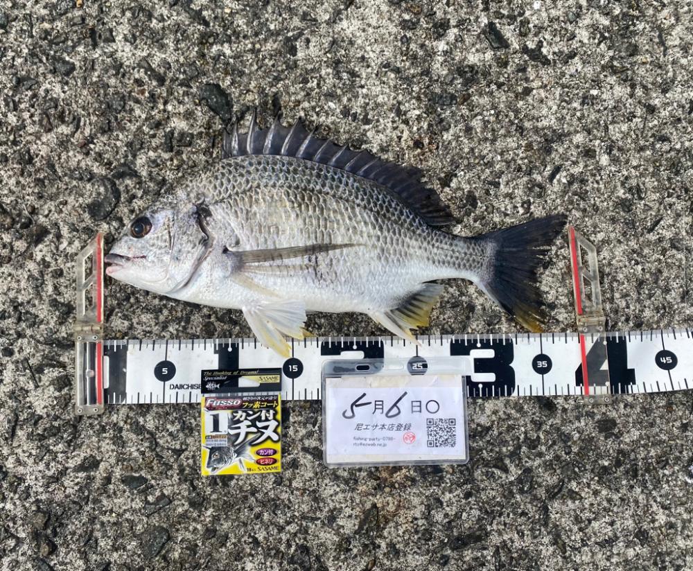 ウェアをどれにするか?迷うシーズン