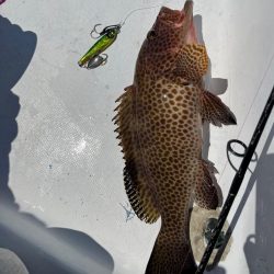 ジャックアイTGスイムがグッドサイズのオオモンハタにどハマり！