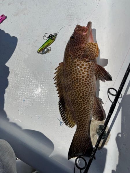 ジャックアイTGスイムがグッドサイズのオオモンハタにどハマり！