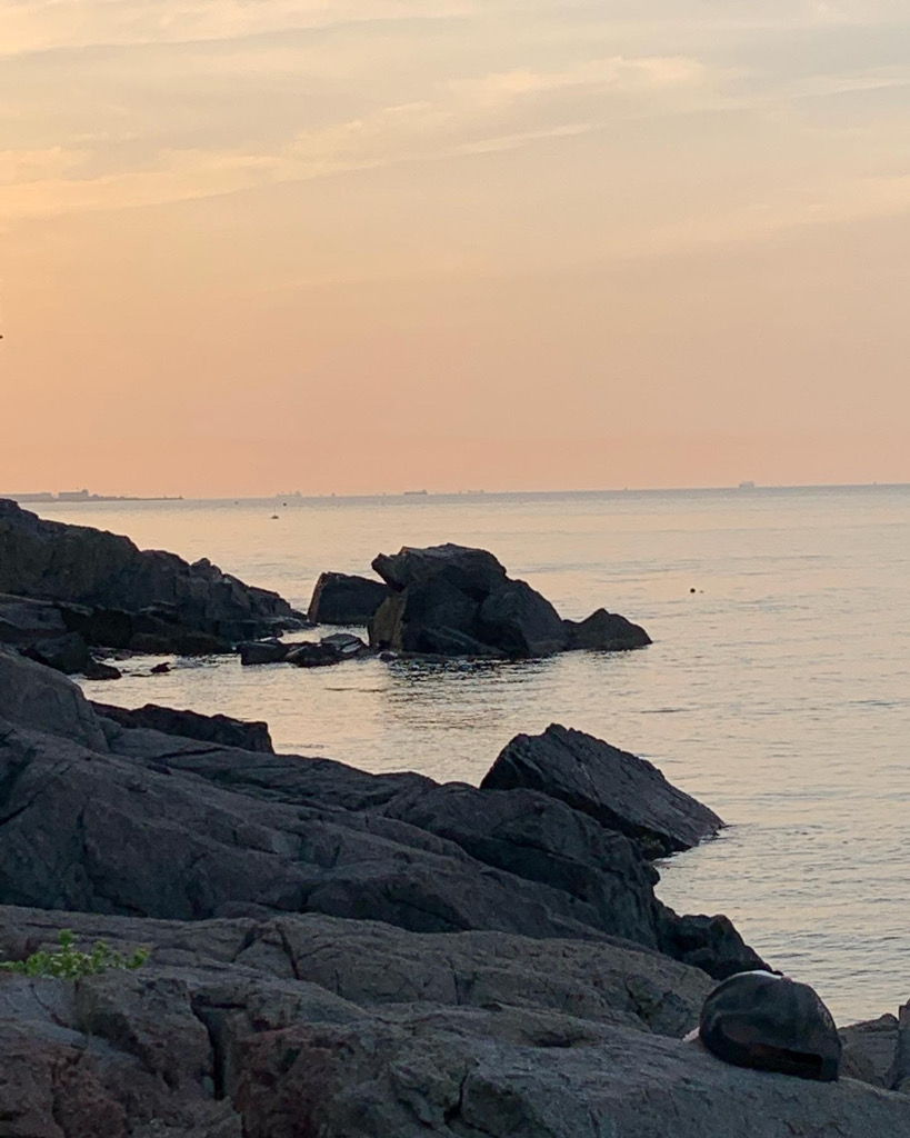 今期２本目メジロ