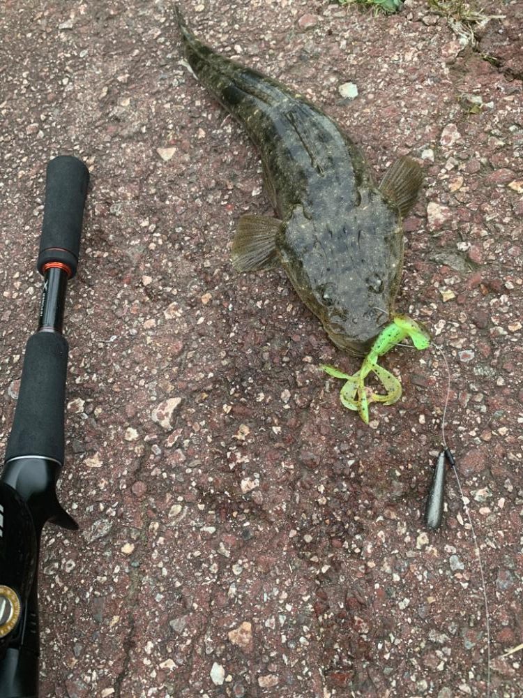 富山でやっと初のまともな釣果