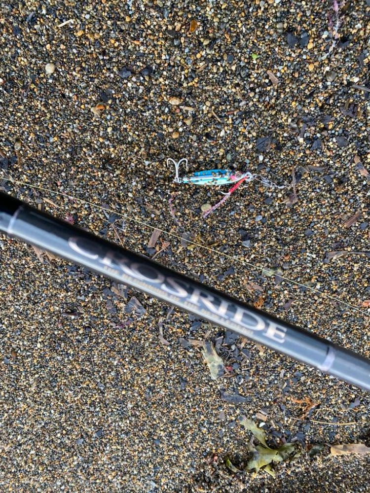 サーフジギング