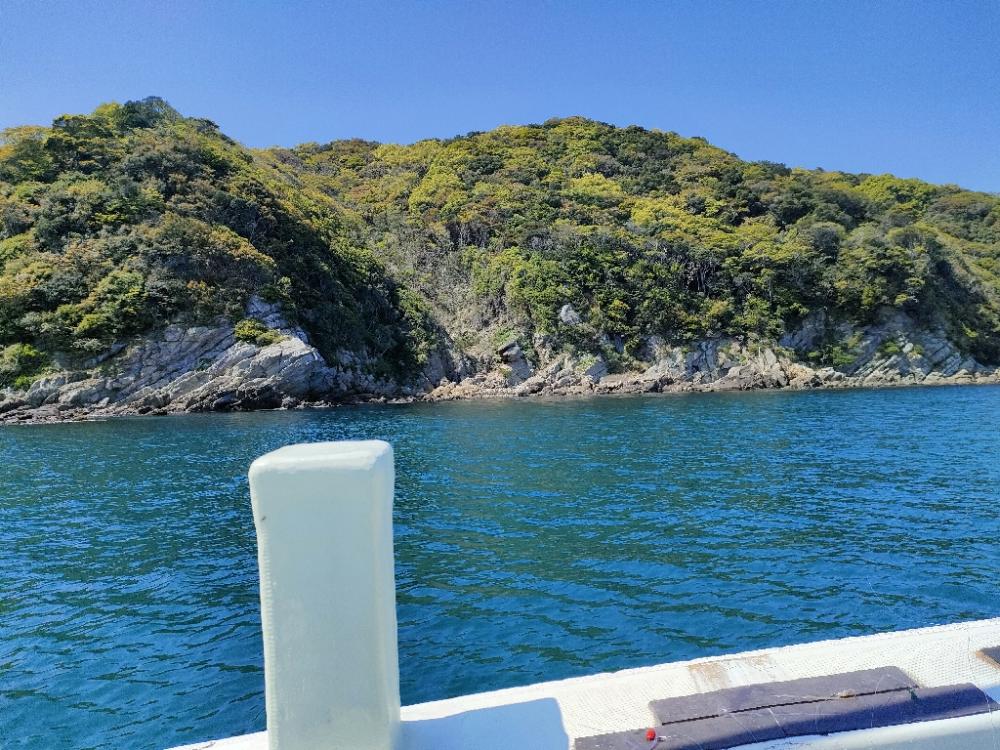 加太 山田丸さんでハマチ!