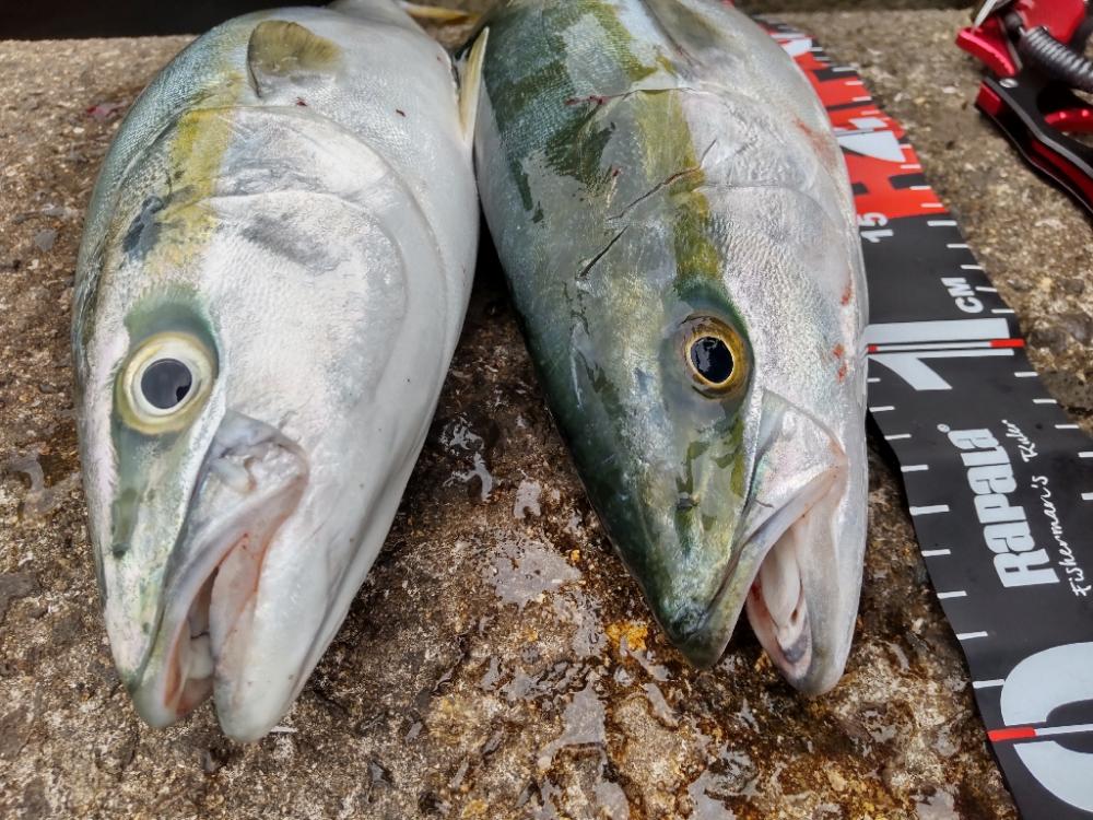 ショアプラッキング