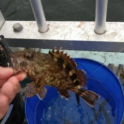 潮に揉まれた日