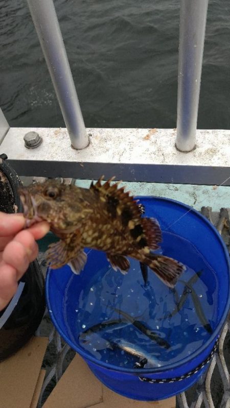 潮に揉まれた日