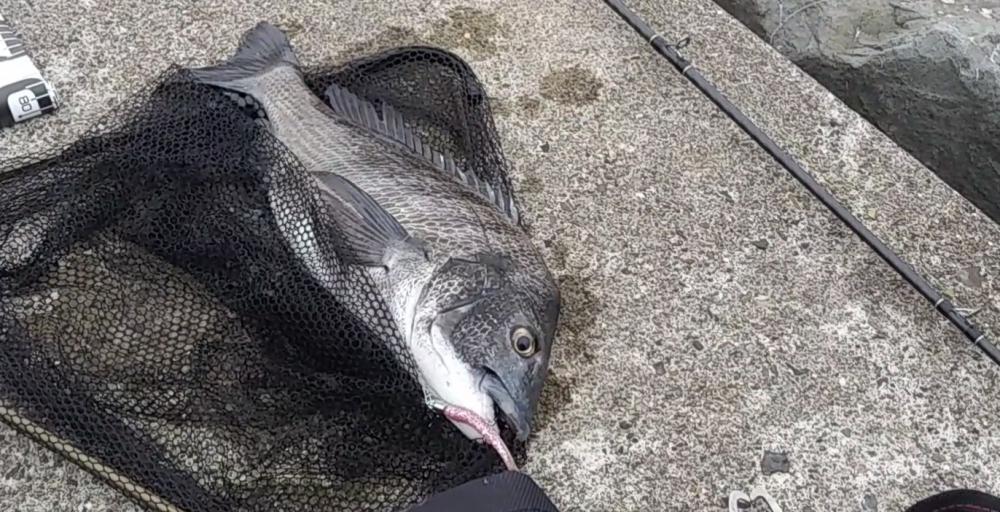 朝マズメのサーフゲーム