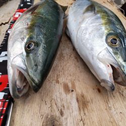 ショアプラッキング