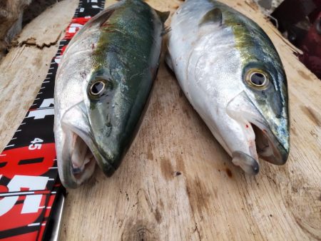 ショアプラッキング