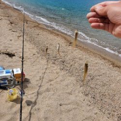 またまた敦賀へ