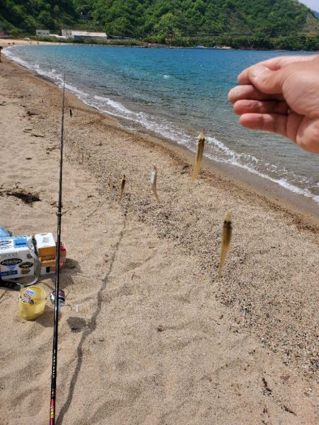 またまた敦賀へ