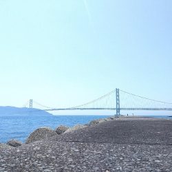 五目釣り大会に参加