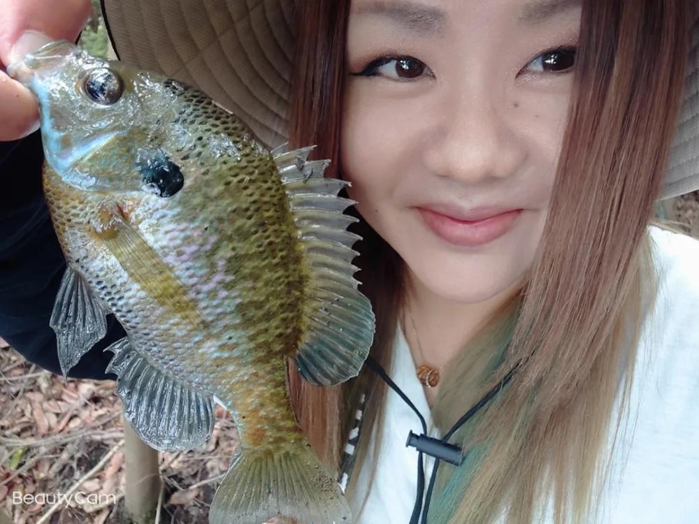 ブルーギル９匹