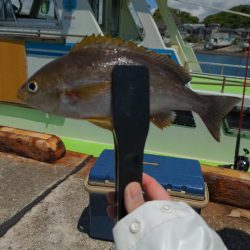 アジ・イサキリレー