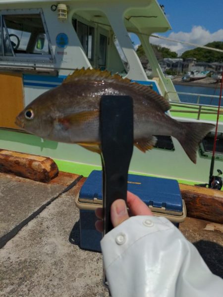 アジ･イサキリレー