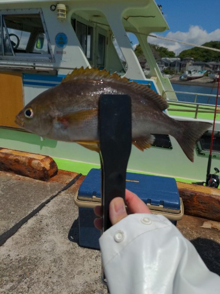 アジ・イサキリレー